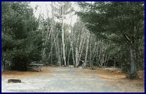 campground site layout